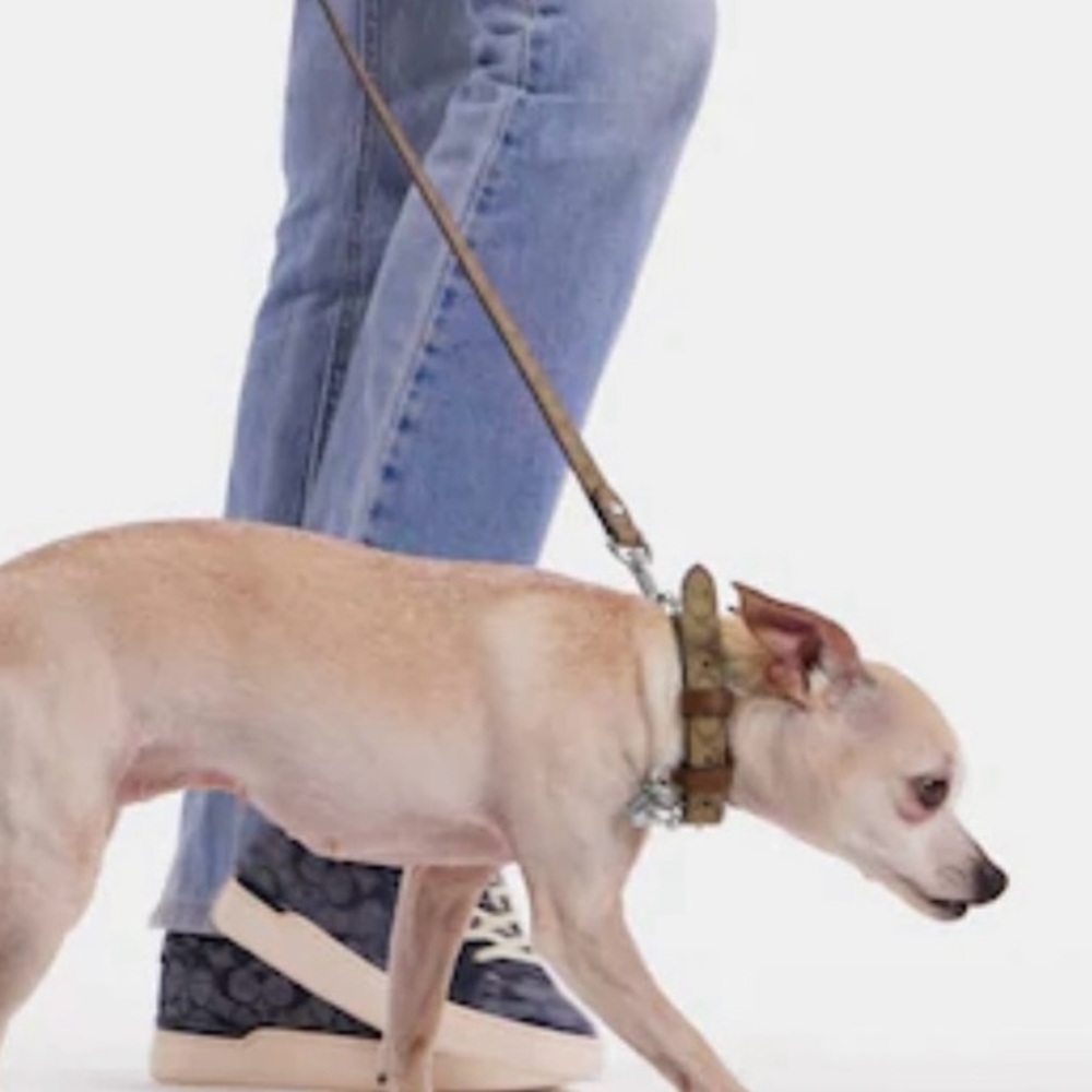 COACH Brown Tan Khaki Saddle Signature Dog Pet Collar New I have two - Picture 8 of 9